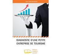 Diagnostic d'une petite entreprise de tourisme Yann Queckenstedt (Auteur)