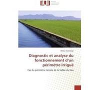 Diagnostic et analyse du fonctionnement d'un périmètre irrigué Alidou Sawadogo (Auteur)