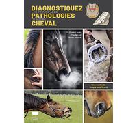 Diagnostiquer les principales pathologies de votre cheval: Une méthode simple et efficace