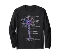Diagramme cellulaire du Cerveau étiqueté sur l'anatomie des neurones de neurobiologie Manche Longue