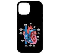 Diagramme d'anatomie Cardiaque Étude de biologie du système cardiovasculaire Coque pour iPhone 12 Mini