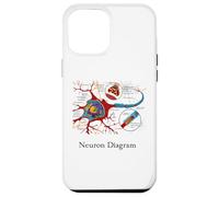 Diagramme de neurones étiquetée Cellule nerveuse Coque pour iPhone 12 Pro Max