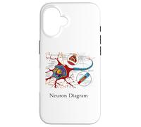Diagramme de neurones étiquetée Cellule nerveuse Coque pour iPhone 16