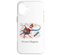 Diagramme de neurones étiquetée Cellule nerveuse Coque pour iPhone 16 Plus