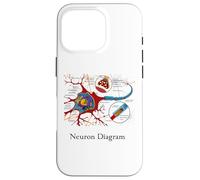 Diagramme de neurones étiquetée Cellule nerveuse Coque pour iPhone 16 Pro