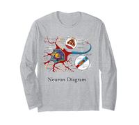 Diagramme de neurones étiquetée Cellule nerveuse Manche Longue