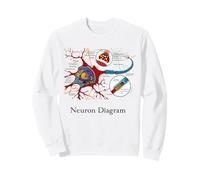 Diagramme de neurones étiquetée Cellule nerveuse Sweatshirt