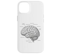 Diagramme de Neuroscience d'anatomie cérébrale Gyri temporelle Coque pour iPhone 14 Plus