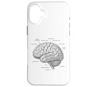 Diagramme de Neuroscience d'anatomie cérébrale Gyri temporelle Coque pour iPhone 16 Plus