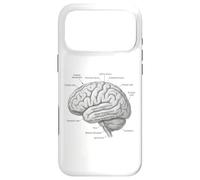 Diagramme de Neuroscience d'anatomie cérébrale Gyri temporelle Coque pour iPhone 17 Pro Max