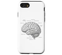 Diagramme de Neuroscience d'anatomie cérébrale Gyri temporelle Coque pour iPhone SE (2020) / 7/8