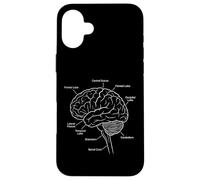 Diagramme étiqueté de l'anatomie du Cerveau Humain des neurosciences Coque pour iPhone 16 Plus