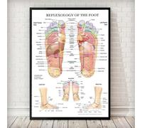 Diagramme Simple Des Points D'Acupuncture, Anatomie, Réflexologie Plantaire, Affiche, Impression, Art Mural, Peinture Sur Toile, Décoration De Maison, Chambre À Coucher, Salon 50X70Cm Sans Cadre