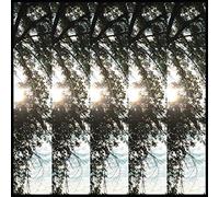 Dialectic of Ignorance/MP3 Inclus