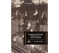 Dialética do olhar : Walter Benjamin e o projeto das Passagens