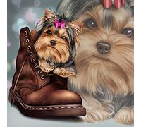 Diamant Malerei Kits, DIY 5D Diamond Painting Set, süßer Hund im Schuh Yorkshire Terrier Malen nach Zahlen Diamant, Diamant Painting Arts Craft für Home Wand-Decor30*40cm