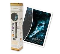 DIAMANTINY Harry Potter 21062 - Wizarding Art Medium Le Prince Mezzosang - Kit crée la mosaïque, activité Crystal Art, Diamond Painting, 1 toile 30 x 40 cm, multicolore