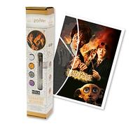 DIAMANTINY Harry Potter - Wizarding Art Medium La Chambre des Secrets - Kit Créer la Mosaïque Activité Crystal Art Diamond Painting 1 Toile 30x40cm