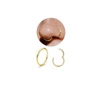 Diamday G23 Titane Piercing Nez Anneaux Piercing Helix Conch Tragus Oreille Hypoallergénique Click Septum Daith Piercing Cartilage Boucle d'oreille Argent Or Nombril 20G 18G 16G 10MM/8MM