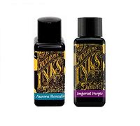 Diamine Lot de 2 cartouches d'encre pour stylo plume 30 ml Aurore boréale et violet impérial