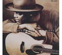 Diamond Days by Eric Bibb NEUF