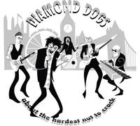 Diamond Dogs - About The Hardest Nut To Crack [Compact Discs]