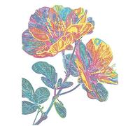 DIAMOND DOTZ 2594354 - Kit de peinture diamant 5D originale - Fleurs fluo - Avec couleurs fluo et velours - Pour adultes et enfants à partir de 12 ans - Intermédiate