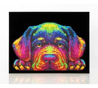 DIAMOND DOTZ 2594368 - Kit de peinture diamant 5D originale - Motif chiots néon - Avec couleurs fluo et velours - Pour adultes et enfants à partir de 12 ans