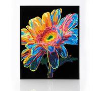 Diamond DOTZ 2594371 Kit de peinture diamant 5D - Néon Gerbera - Couleurs fluo et velours - Pour adultes et enfants à partir de 12 ans - Intermédiaire