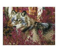 Diamond Dotz Carrés - Automne Loup - Nature - Animaux - Faîtes - Artisanat -