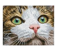 DIAMOND DOTZ D029 - Original 5D Diamond Painting Set Katze mit grünen Augen, Kreativset mit 904 Diamant Mosaiksteinen, Malset 35 x 27 cm, DIY Komplettset für Erwachsene und Kinder ab 8 Jahren G
