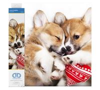 DIAMOND DOTZ DD10.050 - Original 5D Diamond Painting Set Knuddelnde Füchse, Kreativset mit 25.134 Diamant Mosaiksteinen, Malset ca. 51 x 41 cm, DIY Komplettset für Erwachsene und Kinder ab 8 Jahren