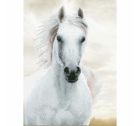Diamond Dotz Étalon impérial Kit de Peinture au Diamant, Tissu, Blanc, 48 x 65 cm