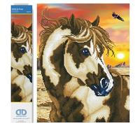 Diamond Dotz Intermediate, DD9 Kit de Peinture au Diamant, Blanc, 35,5 x 45,7cm