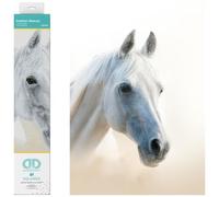 DIAMOND DOTZ Kit de Peinture Diamant, Arabian Beauty