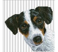 Diamond Dotz Painting, Beginner Kit Peinture au Diamant, Me, 23 x 23 cm G