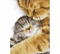 Diamond Dotz Painting Kit: Intermediate, DD7 Peinture au Diamant, Blanc, 30 x 41 cm G