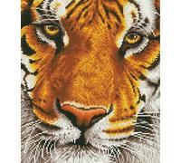 Diamond Dotz Tiger Bengal Magic - Peinture Au Diamant (44x50 Cm)