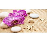 Diamond Painting 5D Adultes Débutants Orchidée Round Drill Diamond Art Kit Gemme Point de Croix Débutant Cristal Artisanat Broderie Diamant Kit Complet pour la Décor Murale la Maison 30x60cm Au8476
