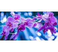 Diamond Painting 5D Adultes Débutants Orchidée Square Drill Diamond Art Kit Gemme Point de Croix Débutant Cristal Artisanat Broderie Diamant Kit Complet pour la Décor Murale la Maison 60x120cm Au8472