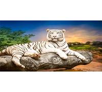Diamond Painting 5D Adultes Débutants Tigre Blanc Square Drill Diamond Art Kit Gemme Point de Croix Débutant Cristal Artisanat Broderie Diamant Kit Complet pour Décor Murale la Maison 40x120cm Au299