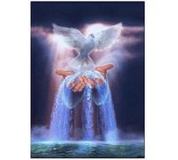 Diamond Painting,5d Peinture Diamant Pigeon à main abstraite,Broderie Diamant Kit Complet,Tableau en Perles Diamant, Adultes Strass Canevas Point de Croix Craft, pour la deco de Salon Chambre-40x50cm