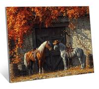 Diamond Painting Adulte, 5D Diamond Painting Enfant Automne Peinture Diamant, DIY Strass Point de Croix Cristal Kit Broderie Cheval Diamant Loisirs Créatifs Adultes, pour Décoration 20x30 cm H-222
