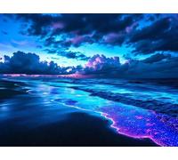 Diamond Painting Adulte, 5D La plage étoilée Peinture Diamant Painting Kit Complet, Diy Broderie Diamond Art Painting Kits, DIY Diamond Painting Enfant, Craft Cadeau Noël Décoration 70x50cm R-10975