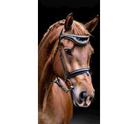 Diamond Painting Adulte, Animaux chevaux Peinture Diamant Set, DIY Diamant Painting Kit Complet, Diamond Cristal Perle Broderie Point de Croix Art Set Pour La Décor Murale à La Maison 90x180cm b-231