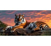 Diamond Painting Adulte, Animaux tigres Peinture Diamant Set, DIY Diamant Painting Kit Complet, Diamond Cristal Perle Broderie Point de Croix Art Set Pour La Décor Murale à La Maison 50x100cm b-203