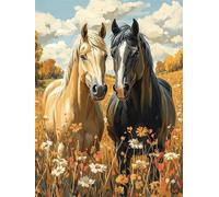 Diamond Painting Adulte Cheval DIY Diamond Painting Kit Complet Peinture Diamant pour Débutants Enfant, 5D Broderie Diamant Paysage Art du Puzzle Canevas Peinture Décoration Murale 35x45cm H-497