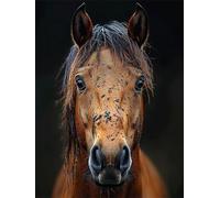Diamond Painting Adulte Cheval DIY Diamond Painting Kit Complet Peinture Diamant pour Débutants Enfant, 5D Broderie Diamant Animal Art du Puzzle Canevas Peinture Décoration Murale Cadeau40x60cm H-250