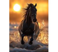 Diamond Painting Adulte Cheval DIY Diamond Painting Kit Complet Peinture Diamant pour Débutants Enfant, 5D Broderie Diamant Coucher de soleil Canevas Peinture Décoration Murale Cadeau20x30cm H-498