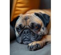 Diamond Painting Adulte Chien, Diamant Painting Animal, Peinture Diamant, Canevas Kit Complet Adulte DIY Rond Strass Kit Broderie 5D Mosaïque Diamant Artisanat pour Murale Décoration 50x80cm 6-159KK39